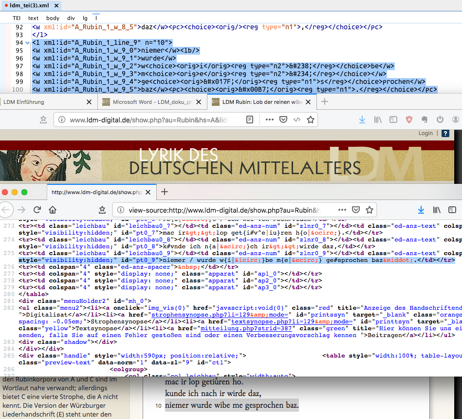 Special characters are named differently in the XML file and in the project database.