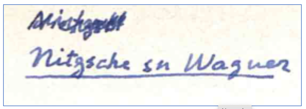 A detail of the facsimile, page 25; screenshot.
