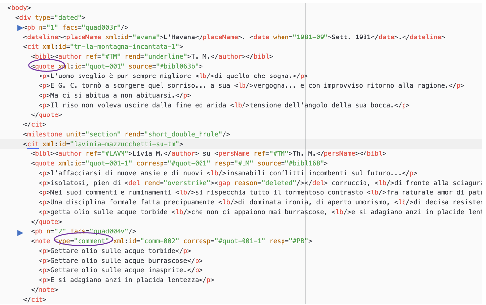 Part of the XML code, from line 2213 to 2243; screenshot.