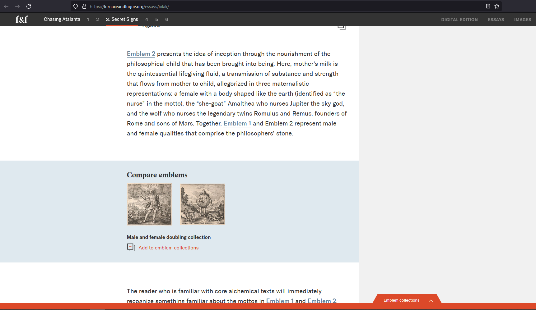 Essay example (Text by Donna Bilak). Emblem collection.