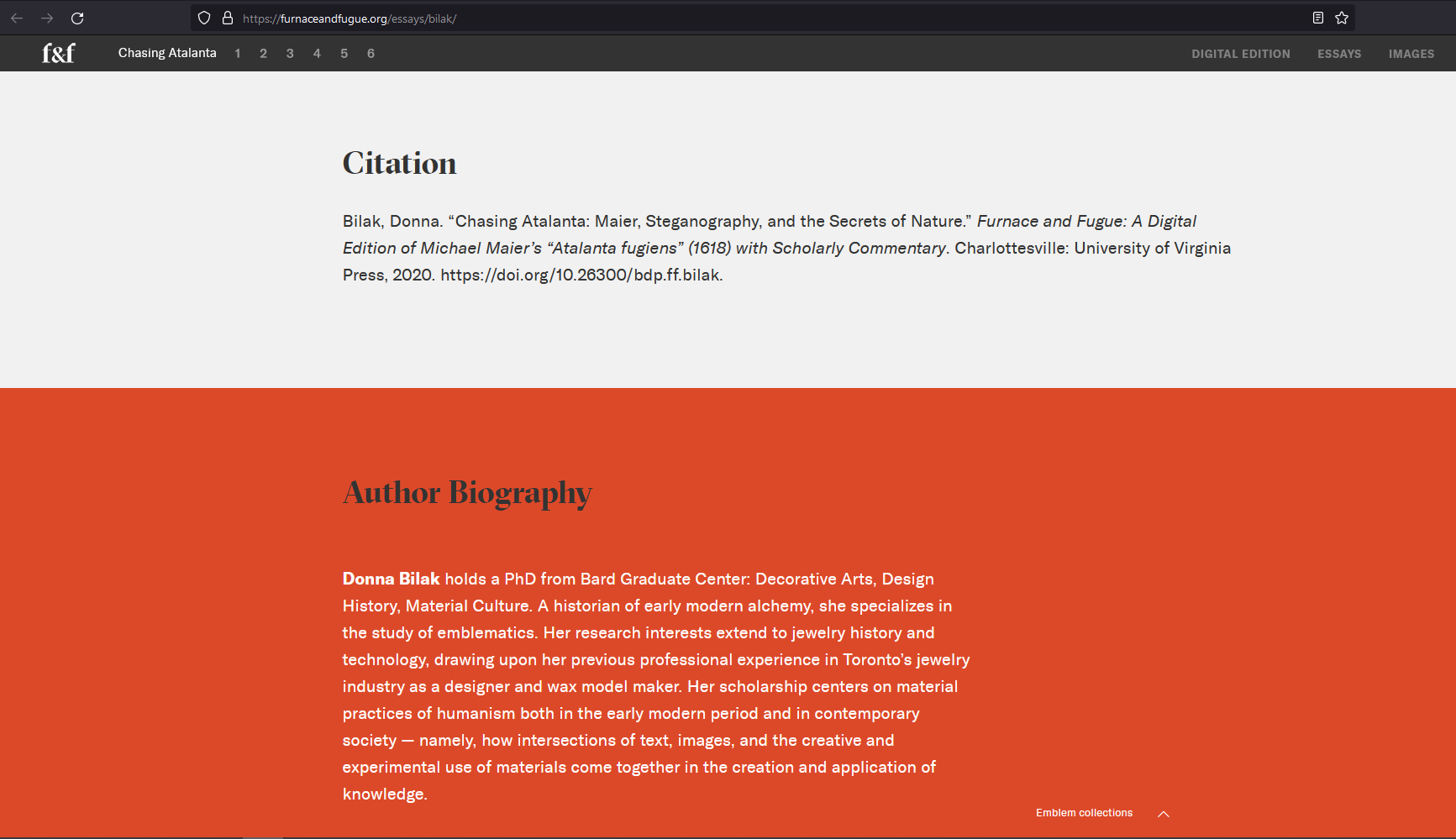Essay example (Text by Donna Bilak). Essay citation.