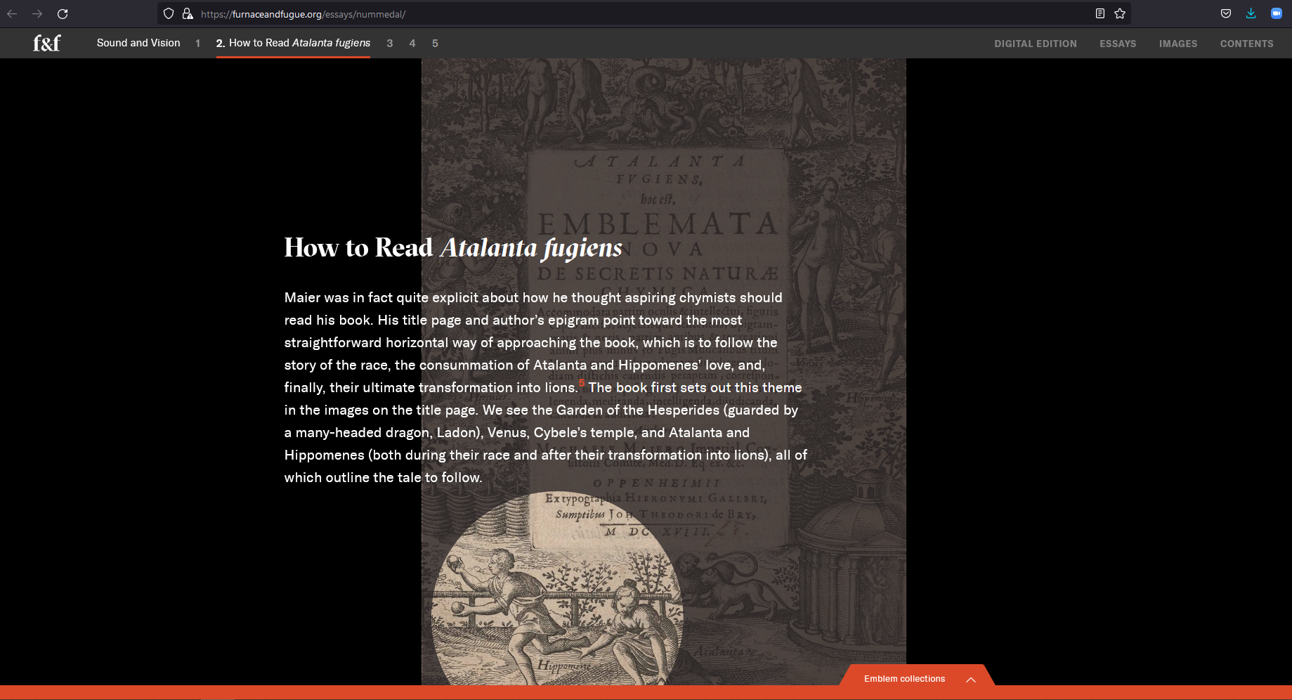 Essay example (Text by Tara Nummedal with a spotlight feature).