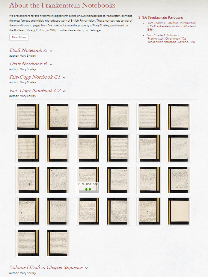 The Frankenstein Notebooks: overview of the witnesses.