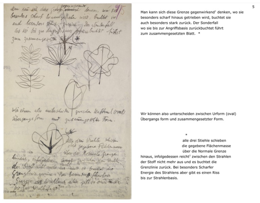 Parallelansicht von Faksimile und Transkript http://www.kleegestaltungslehre.zpk.org/ee/ZPK/BG/2012/01/02/006/.