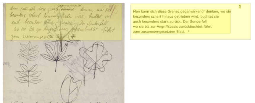 Parallelansicht mit farblicher Hervorhebung http://www.kleegestaltungslehre.zpk.org/ee/ZPK/BG/2012/01/02/006/.